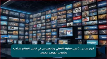 قرار صادر.. تأجيل مباراة الأهلي وبالميراس في كأس العالم للأندية وتحديد الموعد الجديد